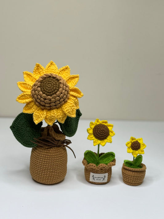 Sunflower pots