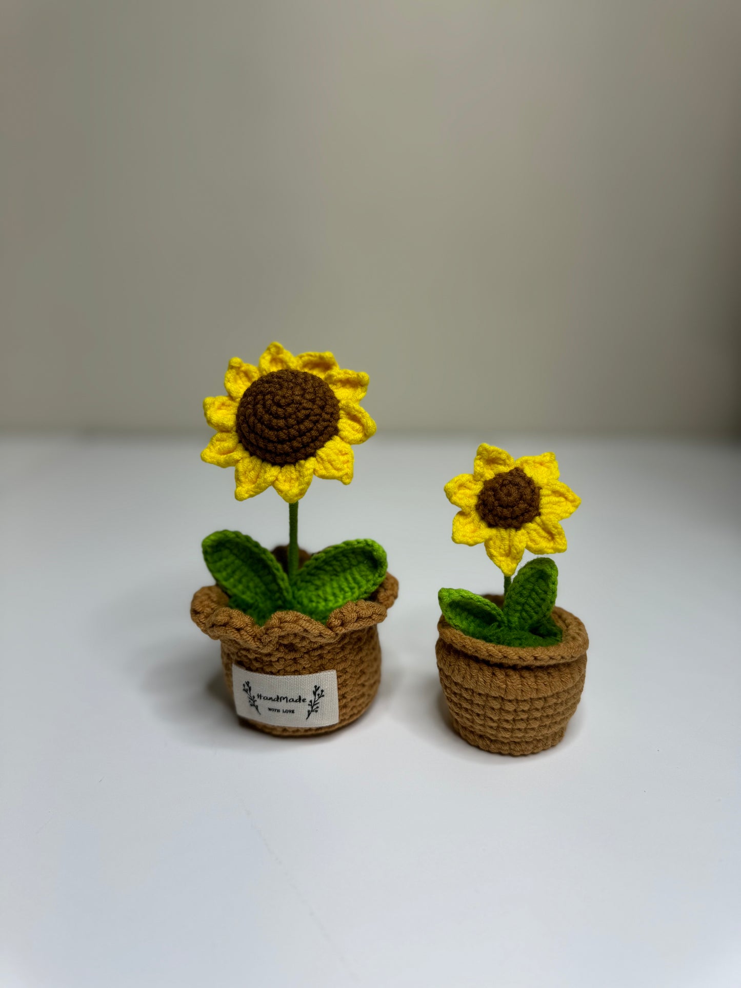 Sunflower pots