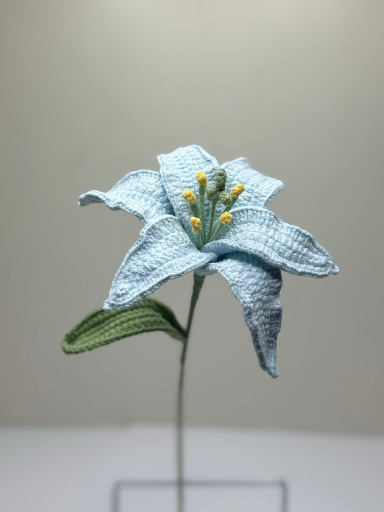 Lily(small, no buds)